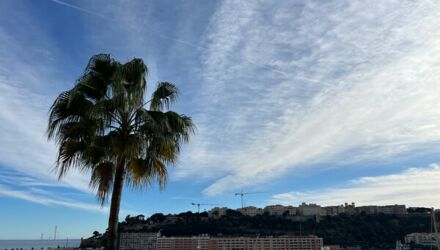 villa minerve petrini exclusvie real estate4