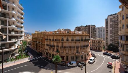 petrini exclusive for rent buckingham palace monaco1