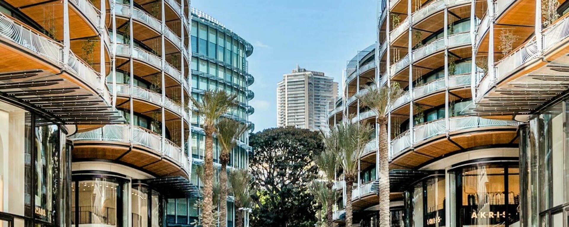 87938431 10163503551575352 7106335661124222976 n