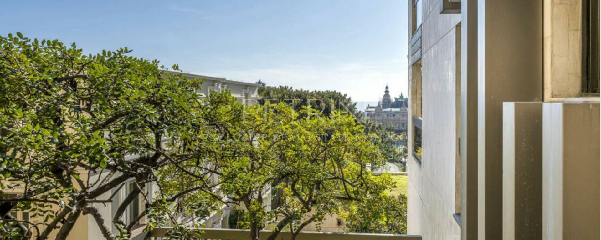 capture d ecran 2024 01 24 vue pp