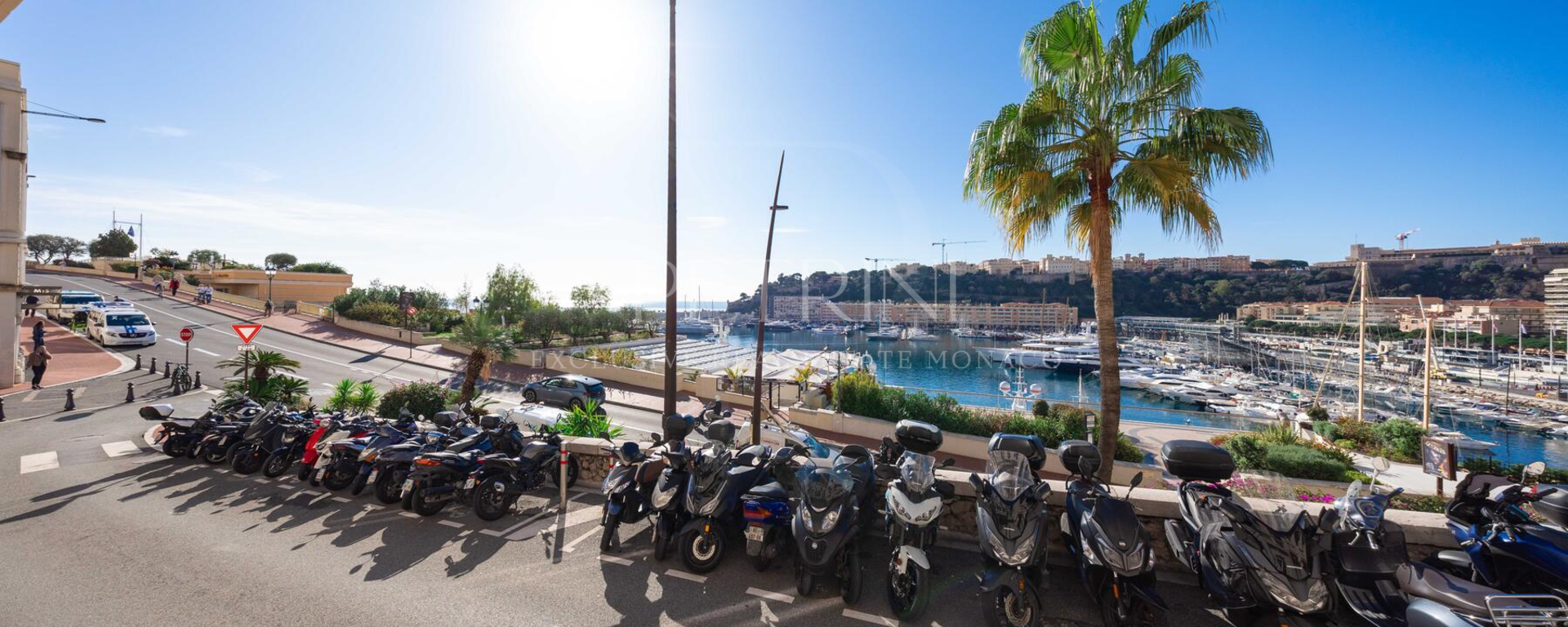 jeremyjakubo 074a5644