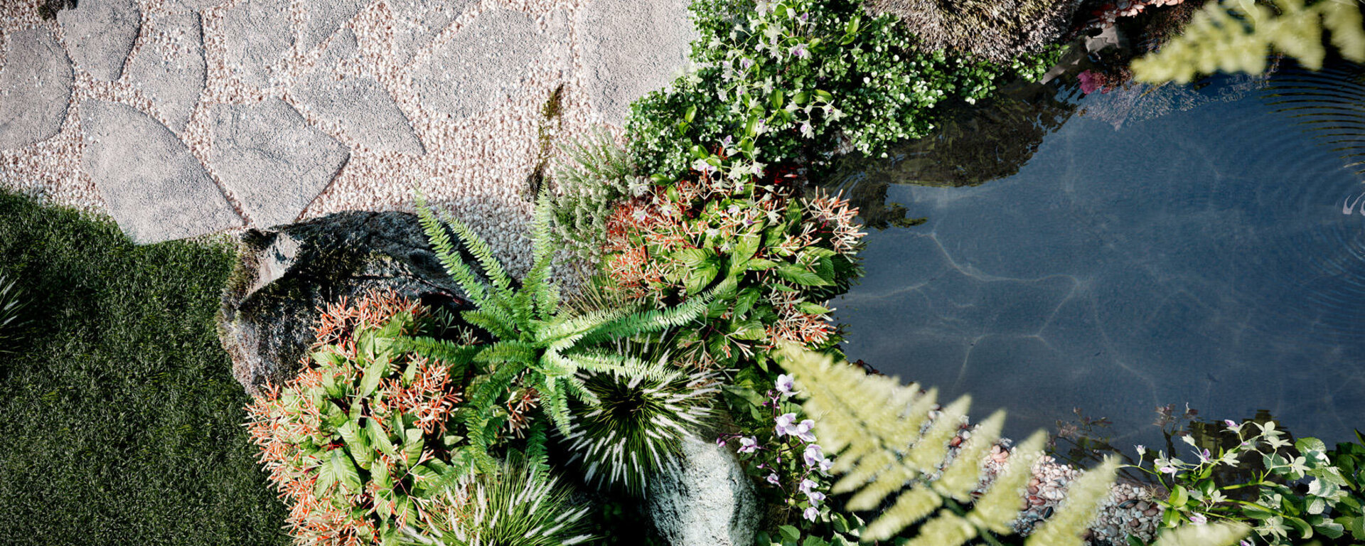 lexotique esterna17 rev003