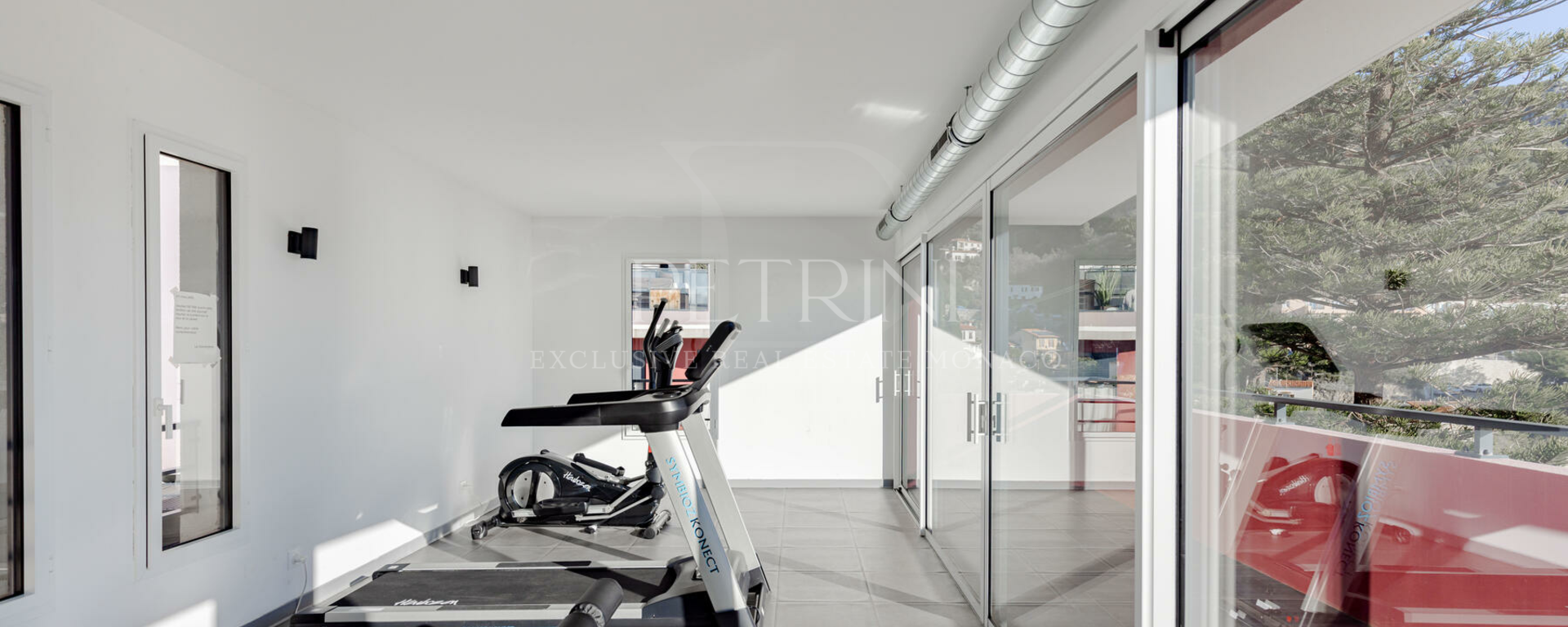 petrini exclusive 2p beausoleil vente1