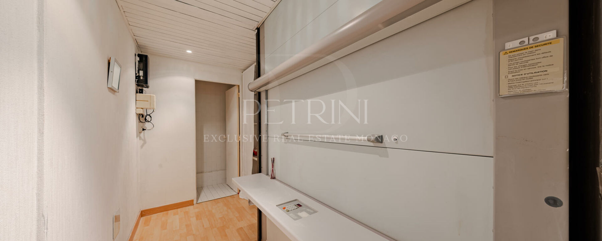 petrini exclusvie real estate park palace 10