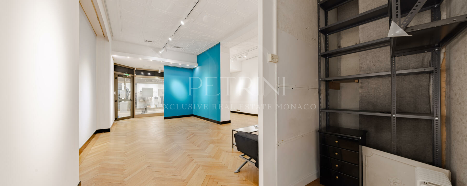 petrini exclusvie real estate park palace 11