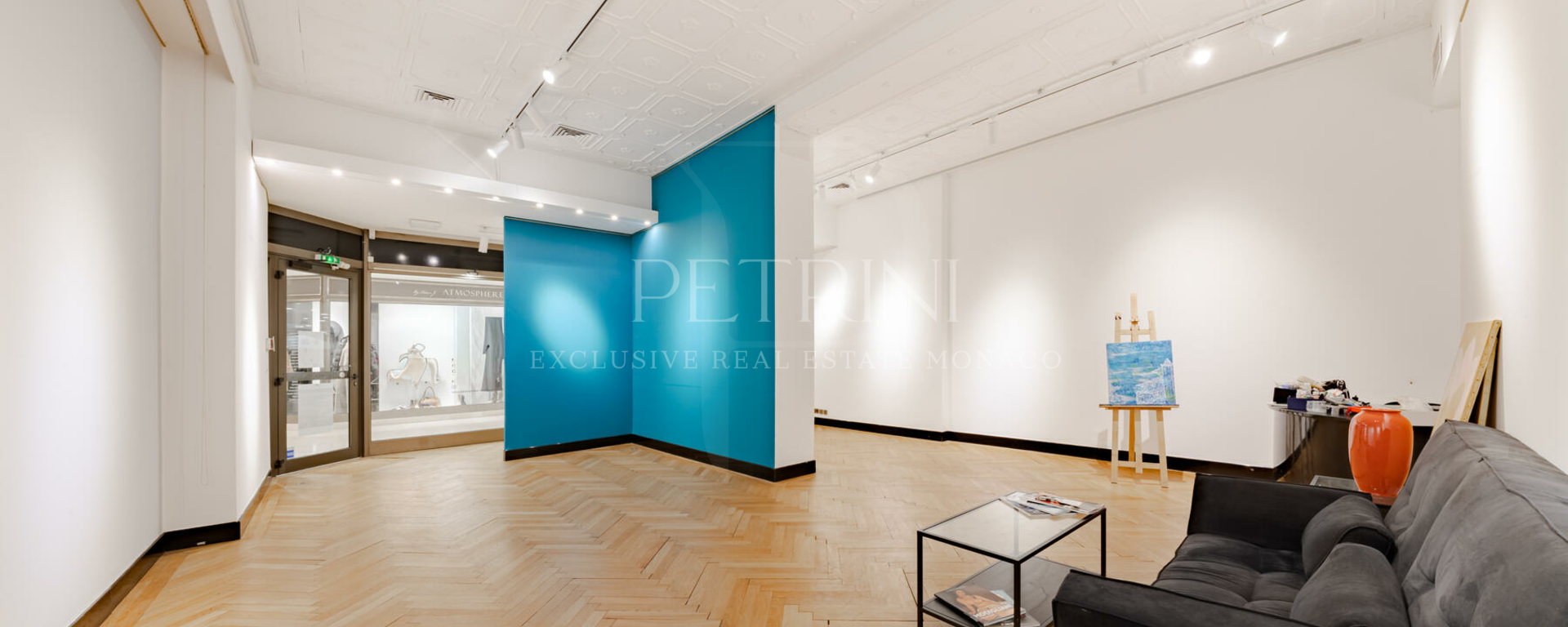 petrini exclusvie real estate park palace 12