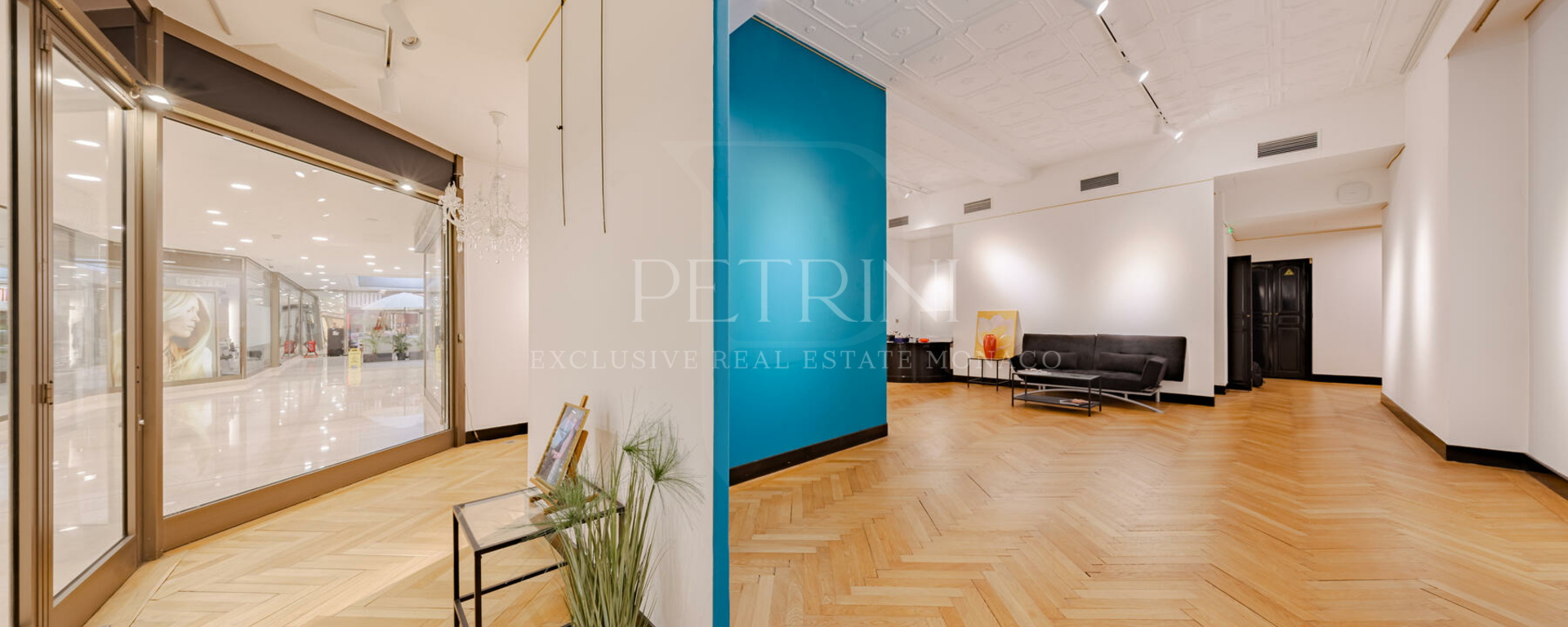 petrini exclusvie real estate park palace 15