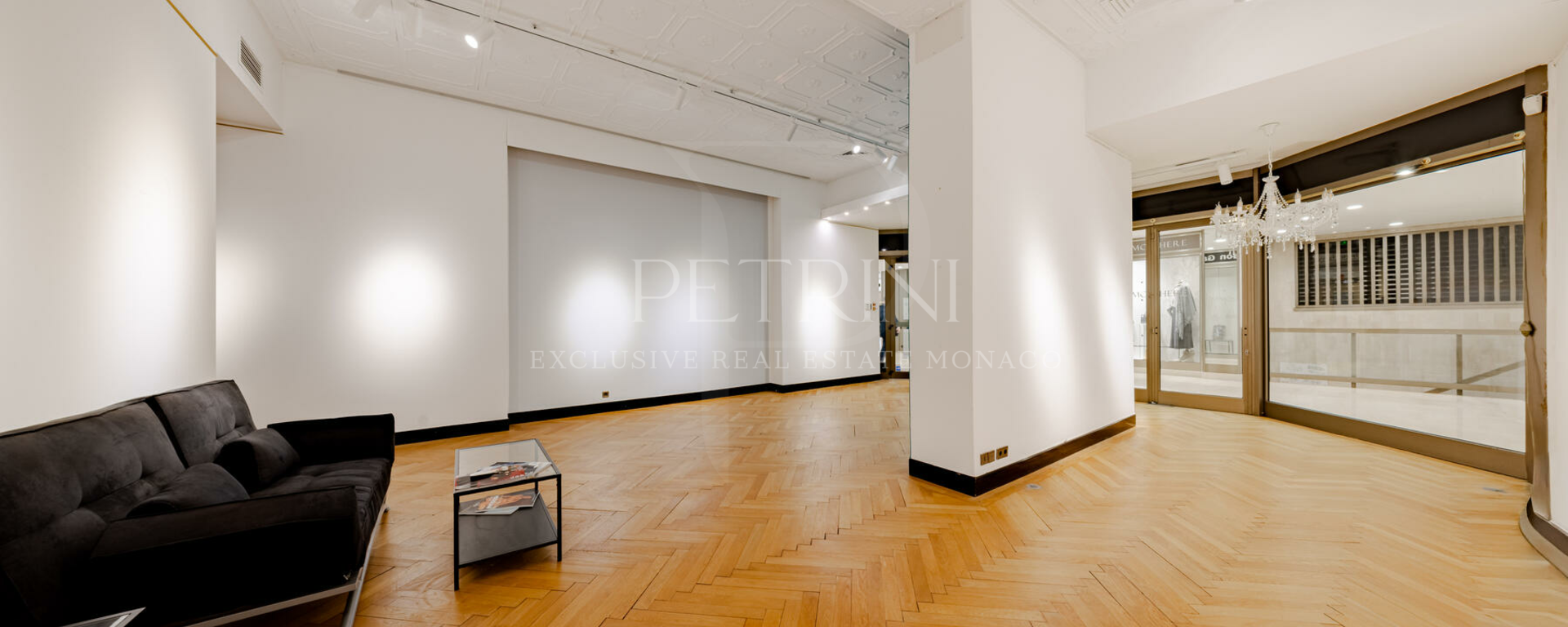 petrini exclusvie real estate park palace 19