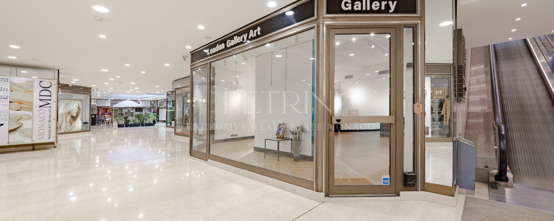 petrini exclusvie real estate park palace 23