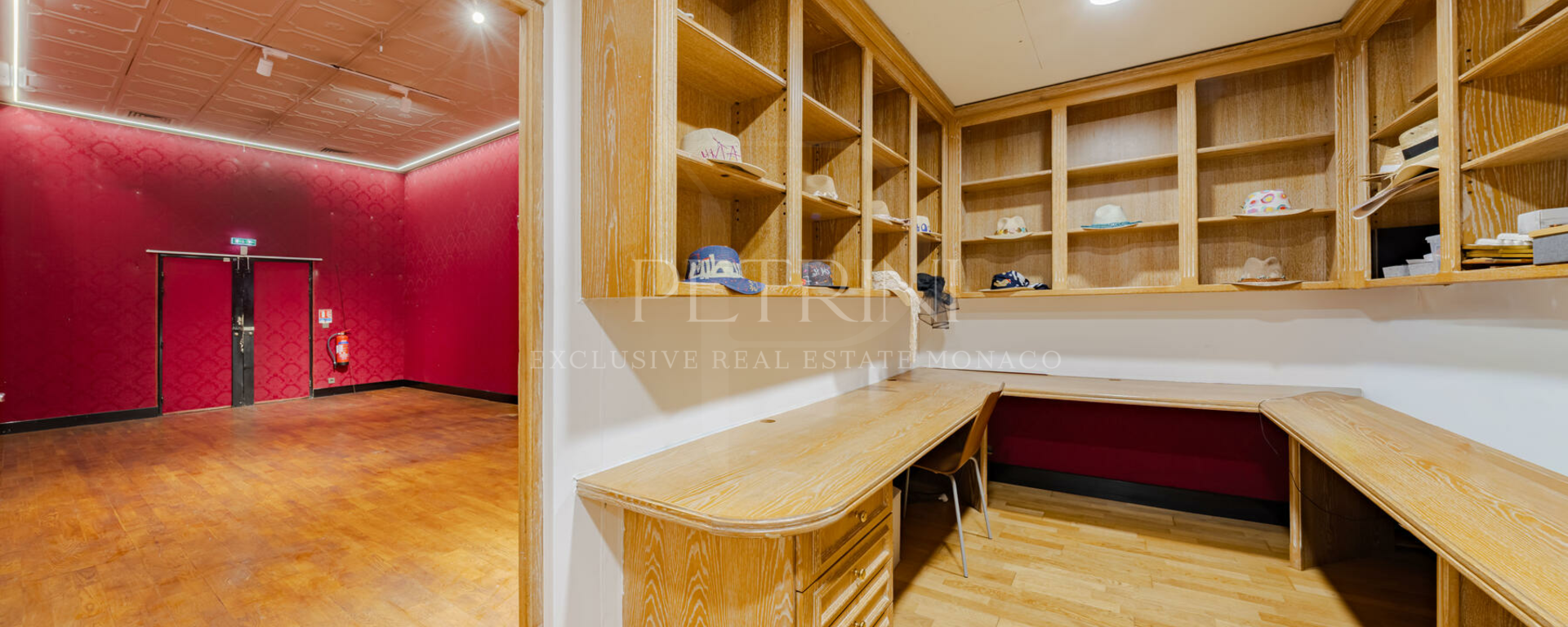 petrini exclusvie real estate park palace 5