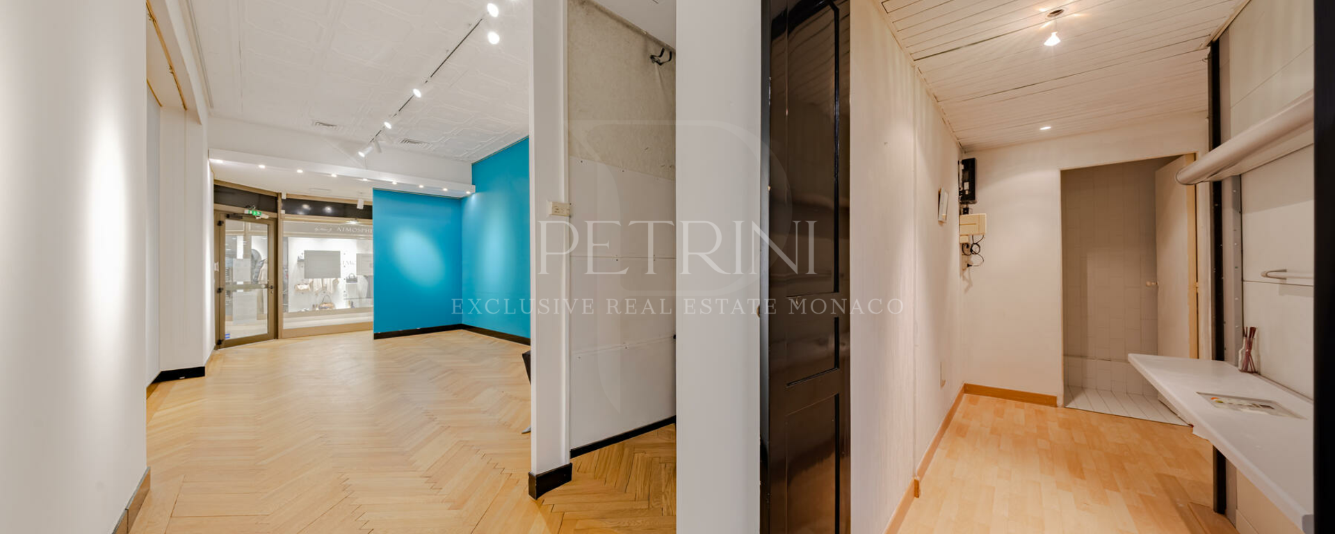 petrini exclusvie real estate park palace 9