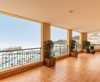 petrini exclusive monaco memmo11