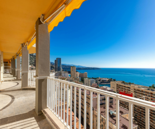 petrini exclusive real estate les abeilles16