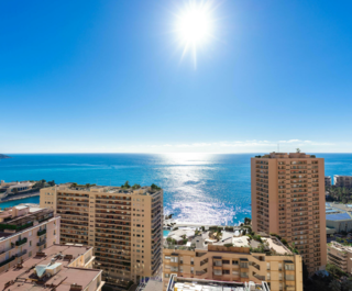 petrini exclusive real estate les abeilles17