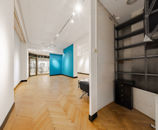 petrini exclusvie real estate park palace 11