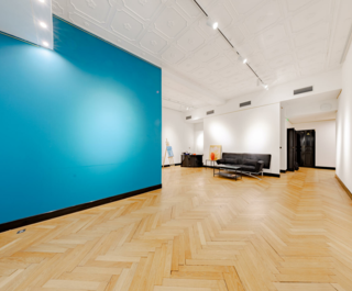 petrini exclusvie real estate park palace 14