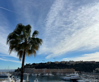 villa minerve petrini exclusvie real estate4