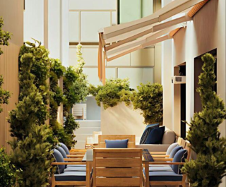 whatsapp image 2026 03 10 at 13.34.24