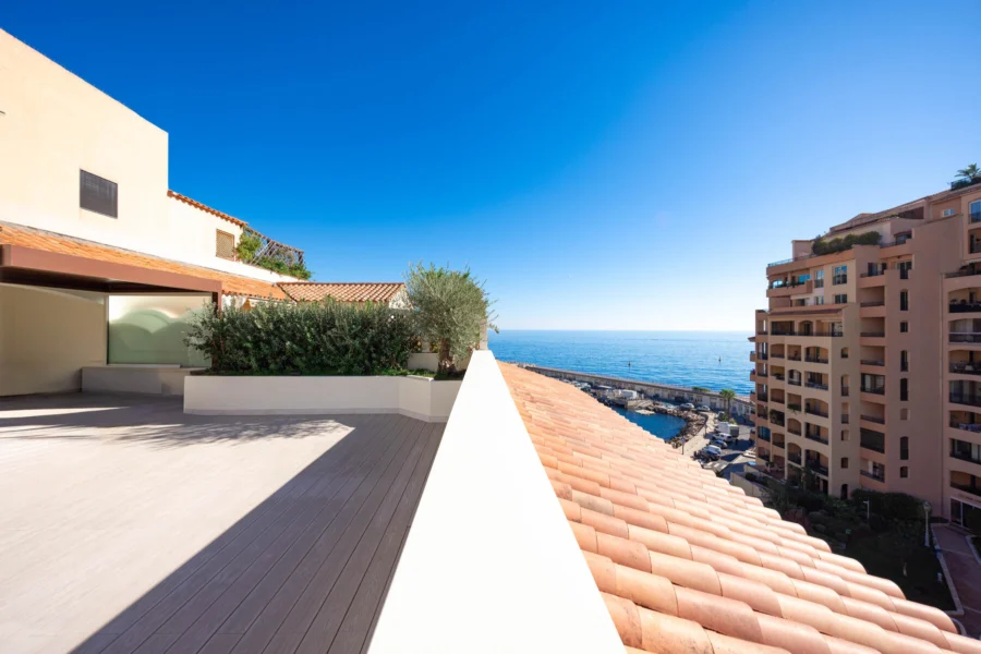 Property overview : Rare Rooftoop completely renovated in Fontvieille
